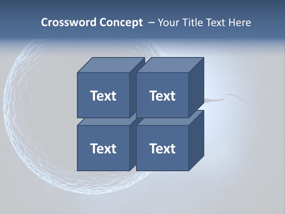 Render Female Micro PowerPoint Template