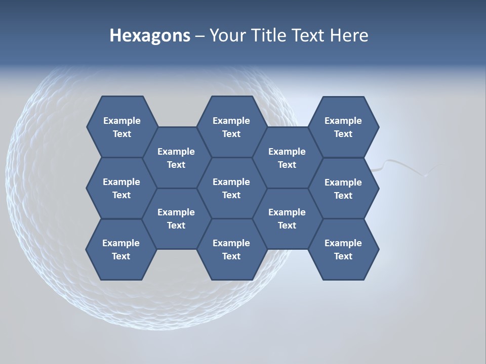 Render Female Micro PowerPoint Template