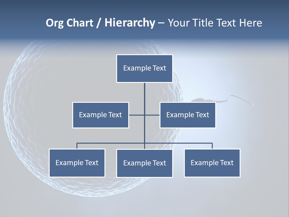 Render Female Micro PowerPoint Template