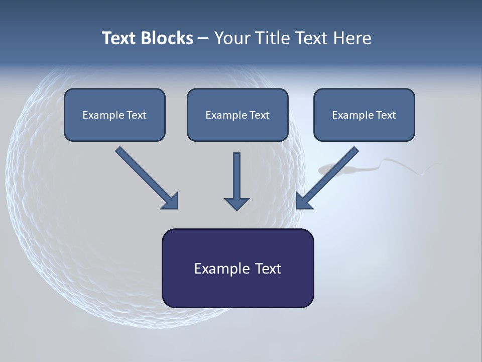 Render Female Micro PowerPoint Template