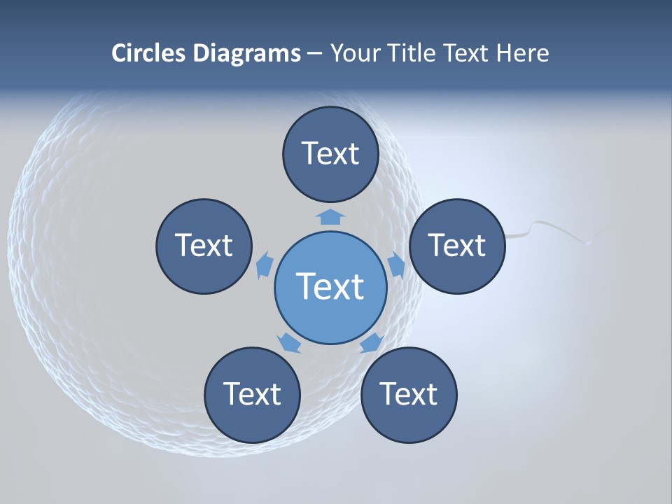 Render Female Micro PowerPoint Template