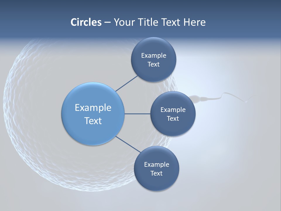 Render Female Micro PowerPoint Template