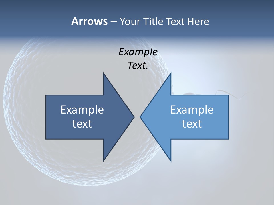 Render Female Micro PowerPoint Template