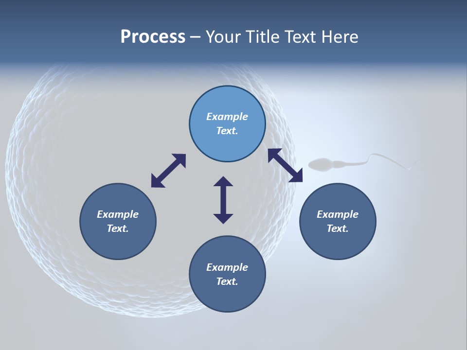 Render Female Micro PowerPoint Template