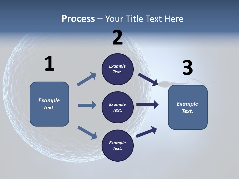 Render Female Micro PowerPoint Template