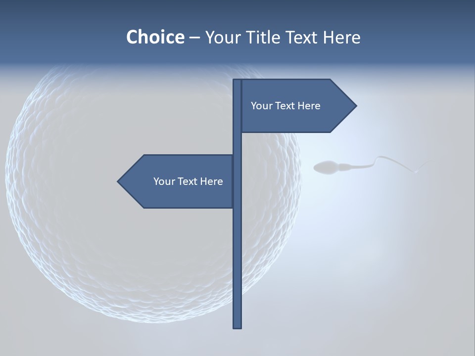 Render Female Micro PowerPoint Template