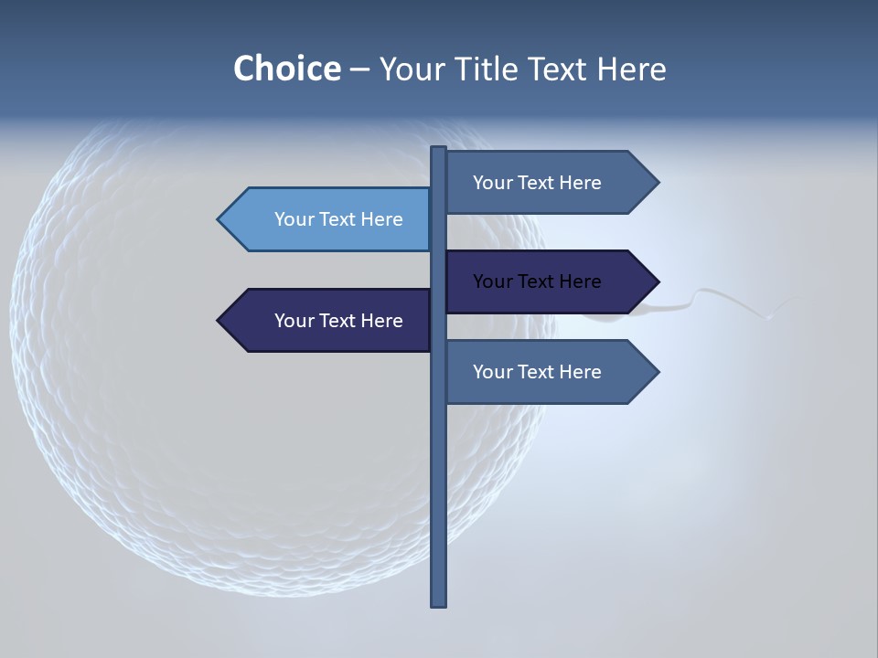 Render Female Micro PowerPoint Template