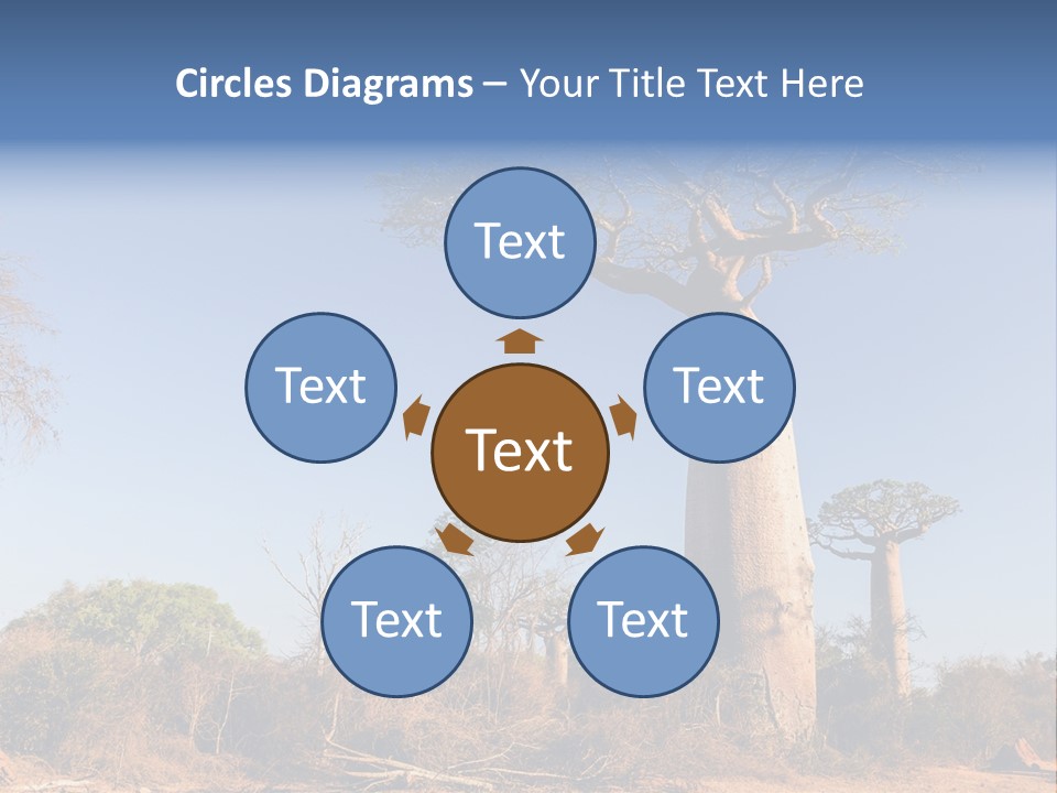 Wild Savanna Safari PowerPoint Template