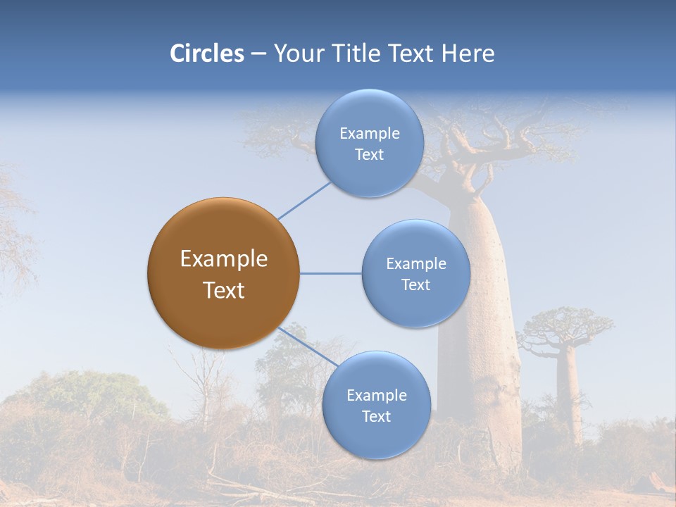 Wild Savanna Safari PowerPoint Template