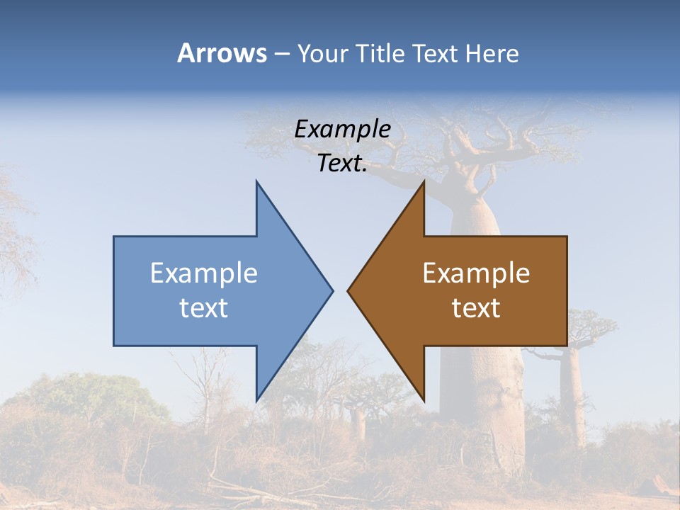 Wild Savanna Safari PowerPoint Template