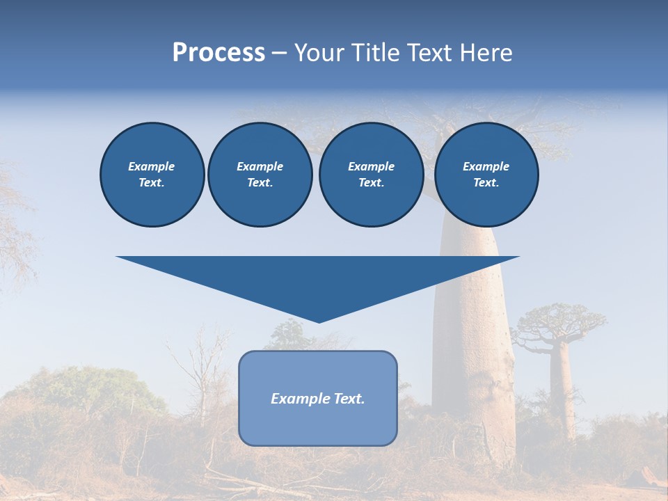 Wild Savanna Safari PowerPoint Template