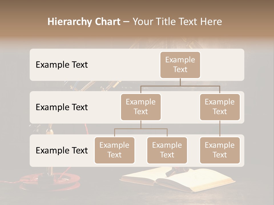 Nut Black Book PowerPoint Template