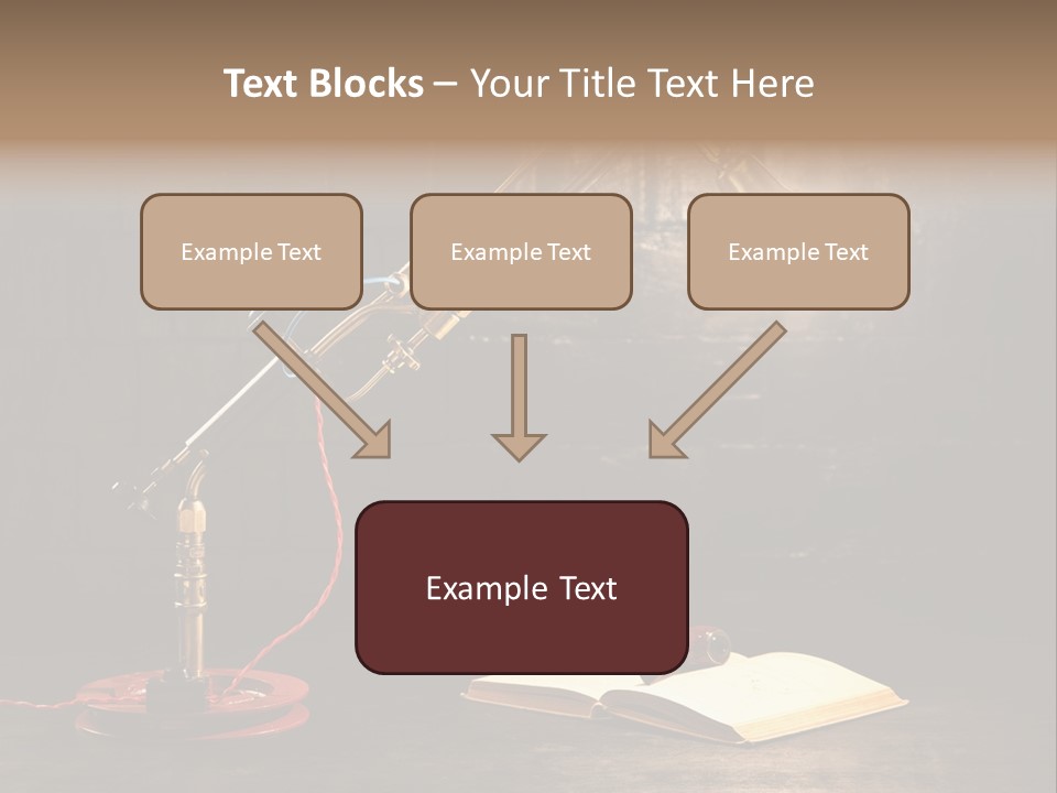 Nut Black Book PowerPoint Template