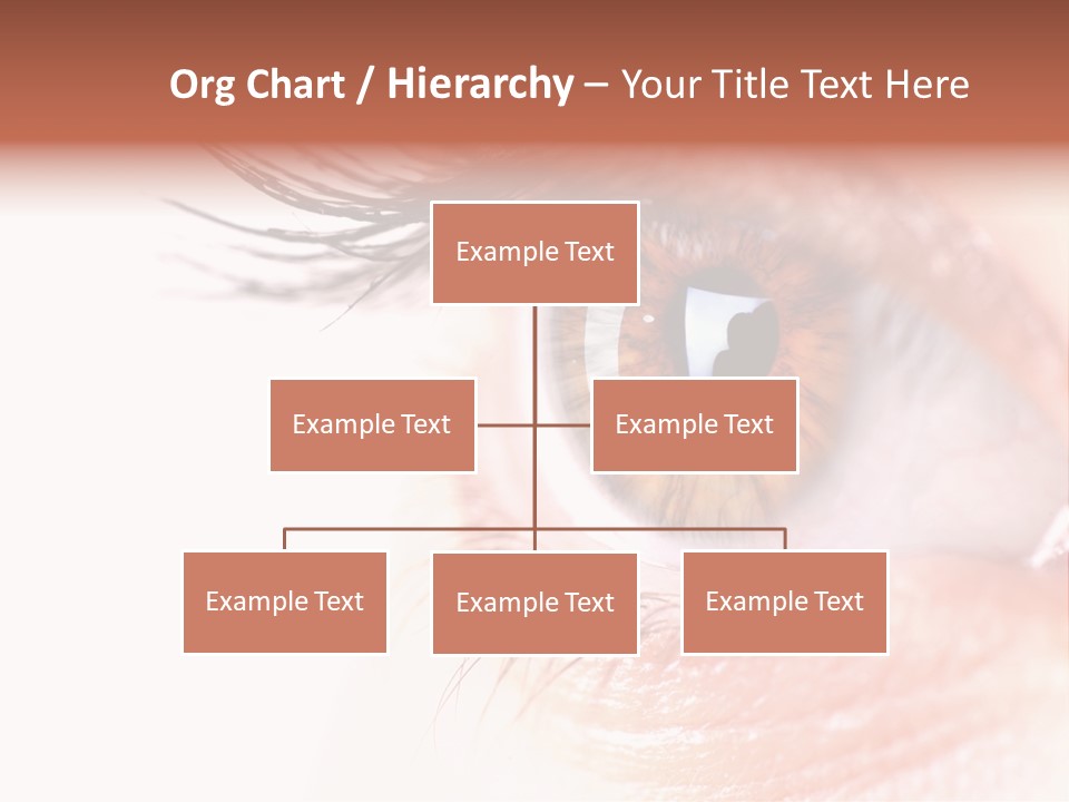 Young Skin Eyeliner PowerPoint Template