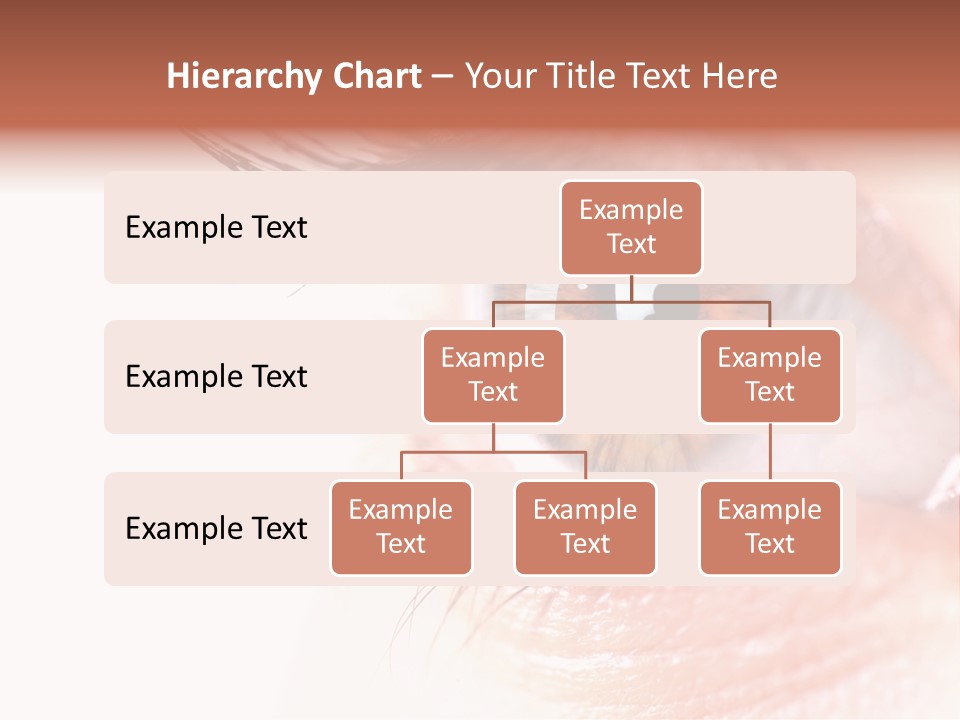 Young Skin Eyeliner PowerPoint Template