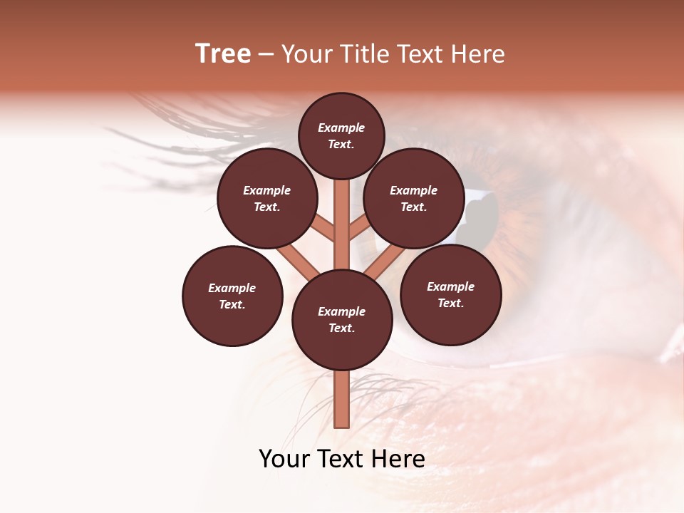 Young Skin Eyeliner PowerPoint Template