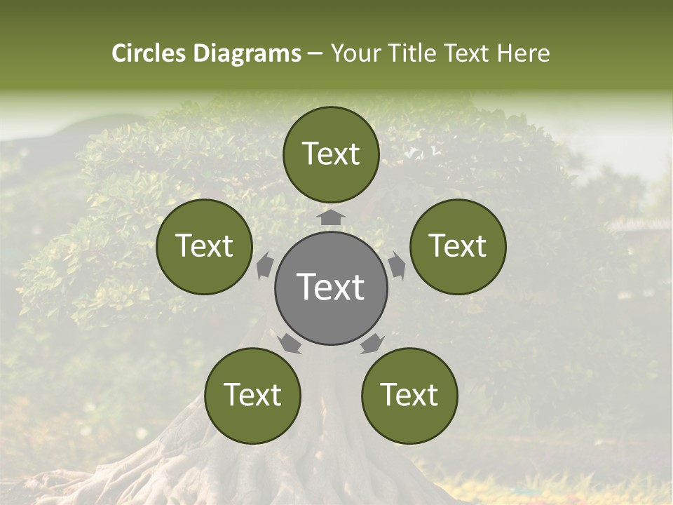 Ceramic Shape Detail PowerPoint Template