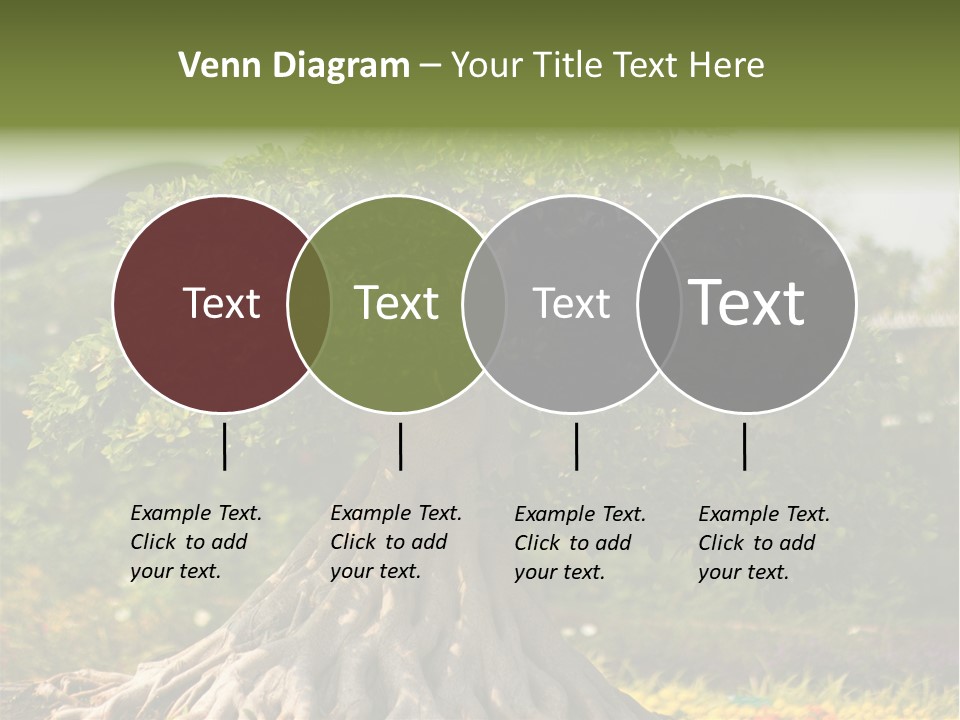 Ceramic Shape Detail PowerPoint Template