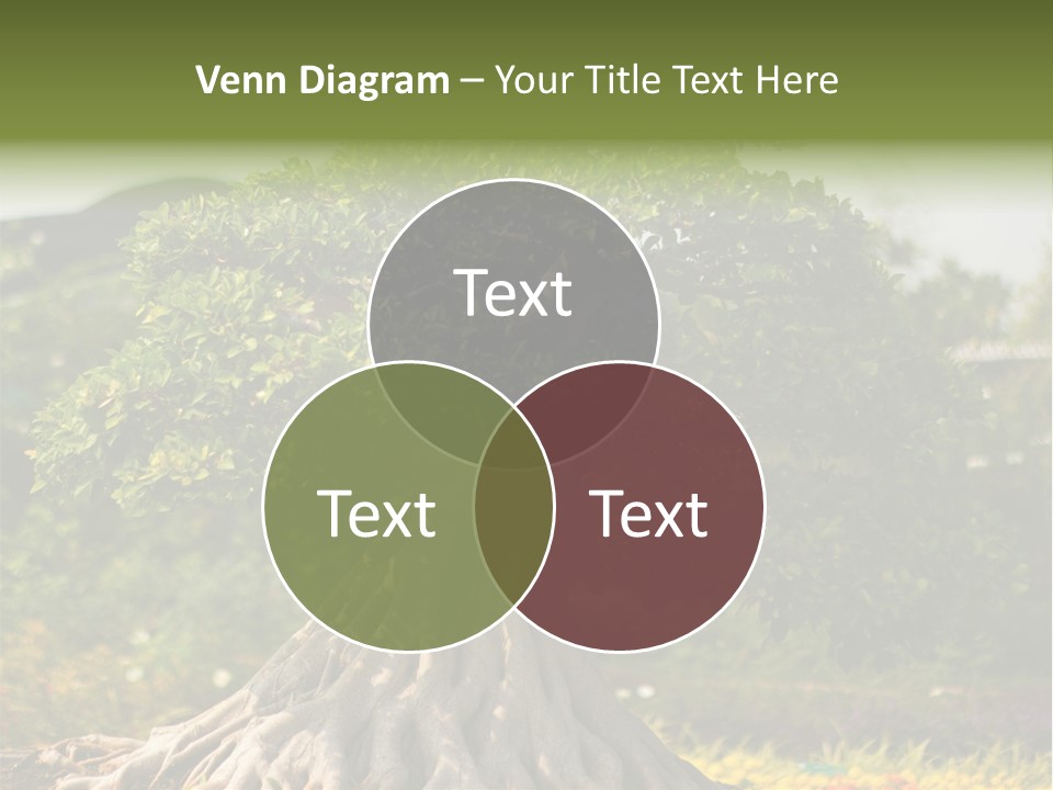 Ceramic Shape Detail PowerPoint Template