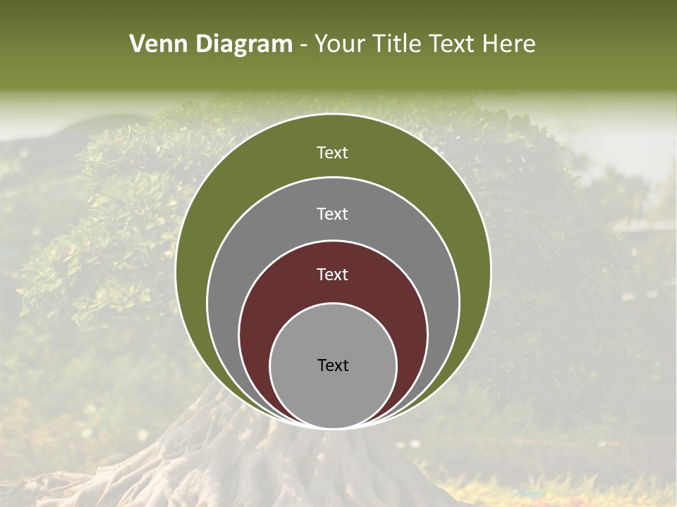 Ceramic Shape Detail PowerPoint Template