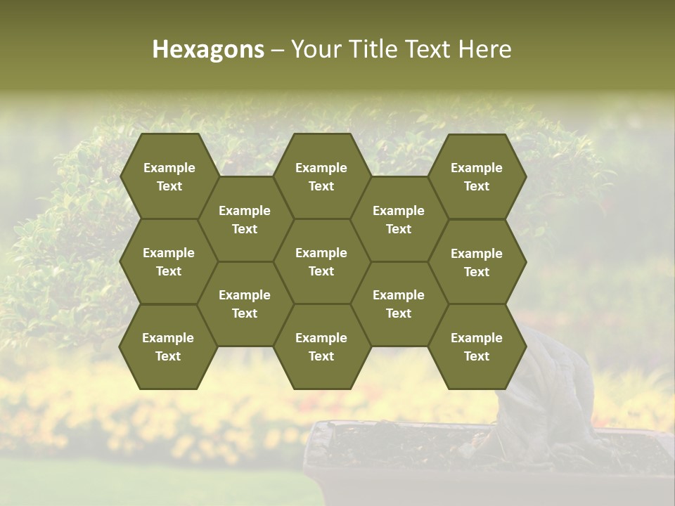 Botany Houseplant Garden PowerPoint Template