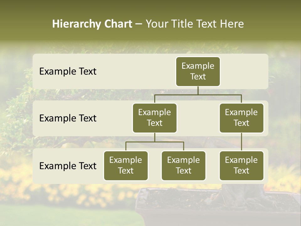 Botany Houseplant Garden PowerPoint Template