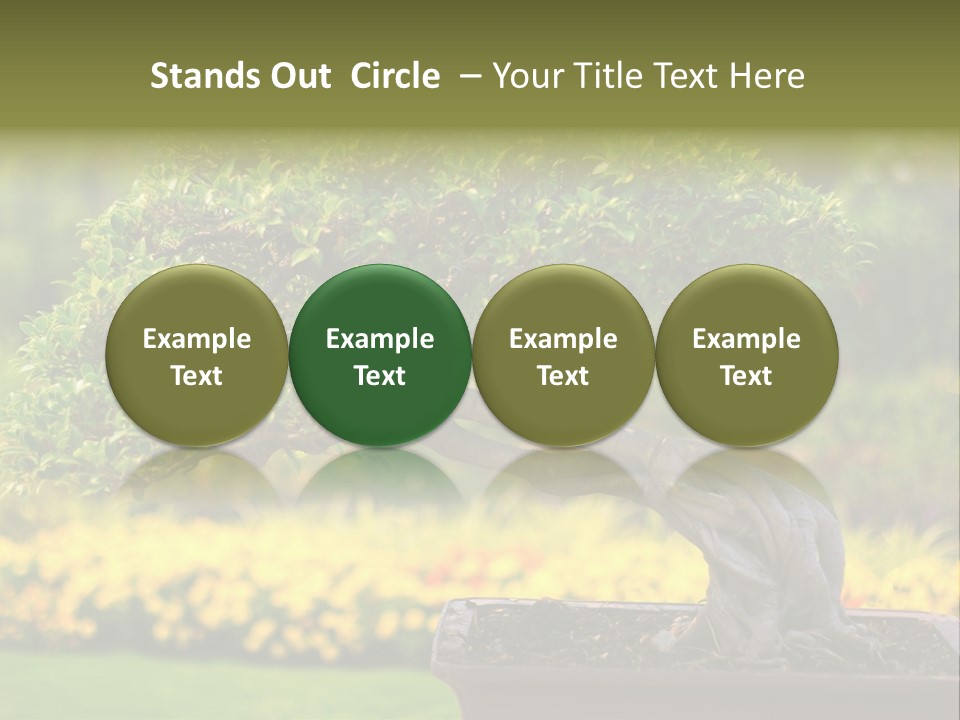 Botany Houseplant Garden PowerPoint Template