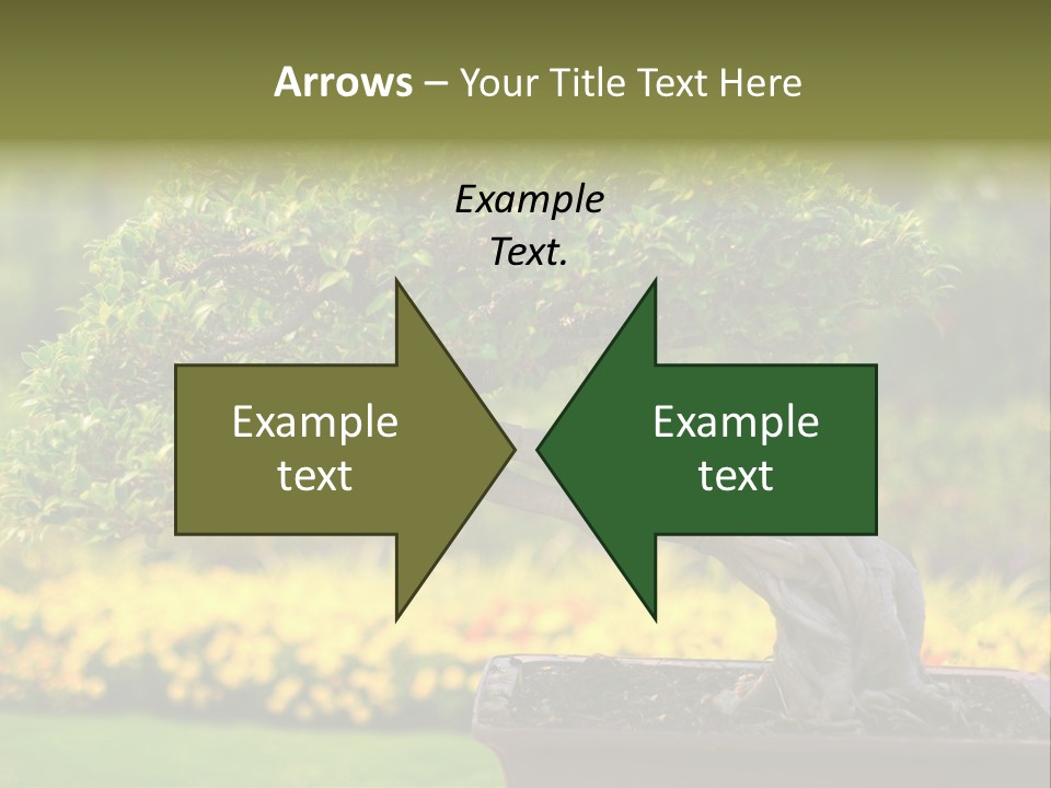 Botany Houseplant Garden PowerPoint Template