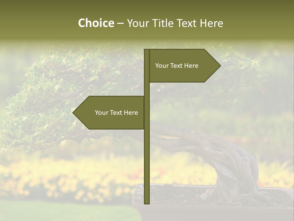 Botany Houseplant Garden PowerPoint Template