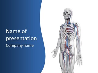 Vein Anatomy Science PowerPoint Template