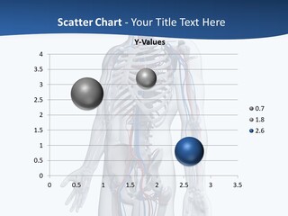 Vein Anatomy Science PowerPoint Template