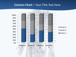 Vein Anatomy Science PowerPoint Template