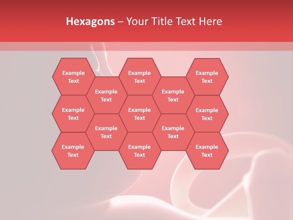 Baby Trimester Embryogenesis PowerPoint Template