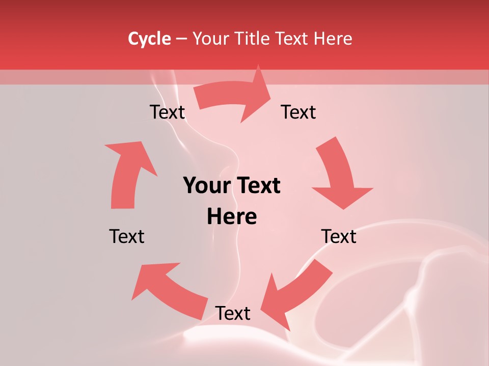 Baby Trimester Embryogenesis PowerPoint Template