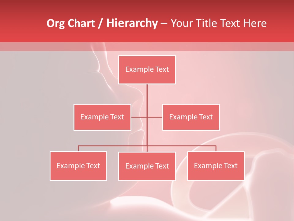 Baby Trimester Embryogenesis PowerPoint Template