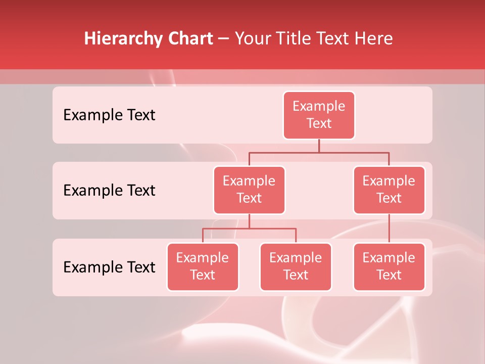 Baby Trimester Embryogenesis PowerPoint Template