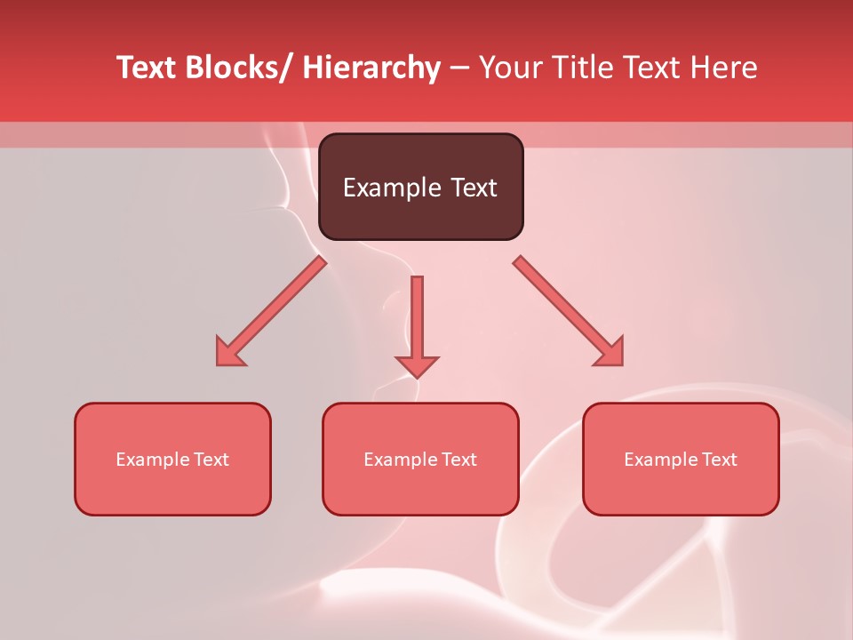 Baby Trimester Embryogenesis PowerPoint Template