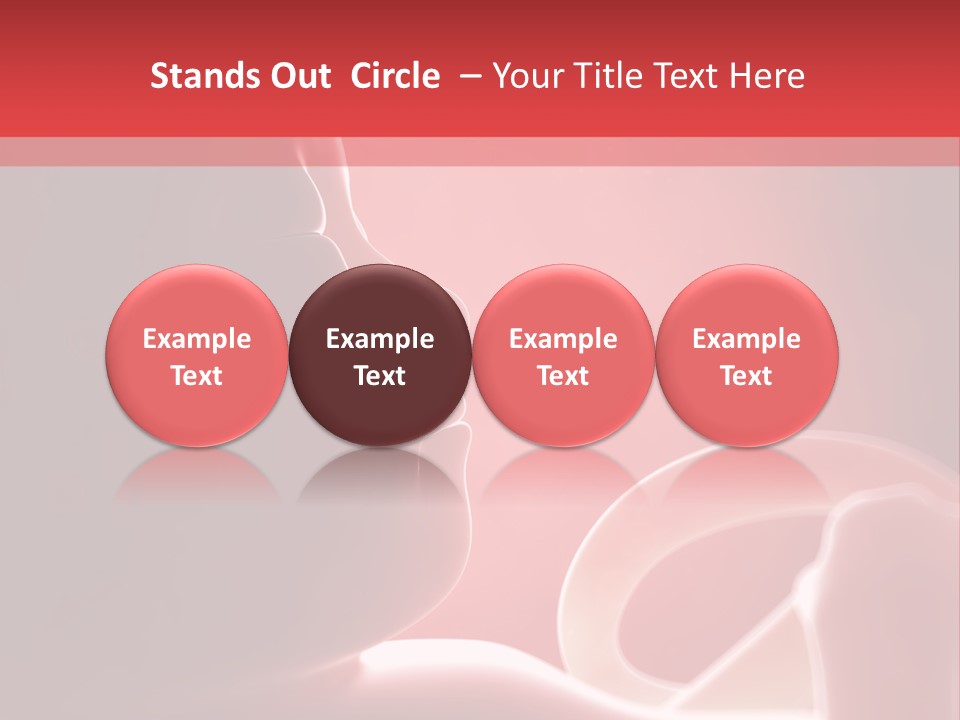 Baby Trimester Embryogenesis PowerPoint Template