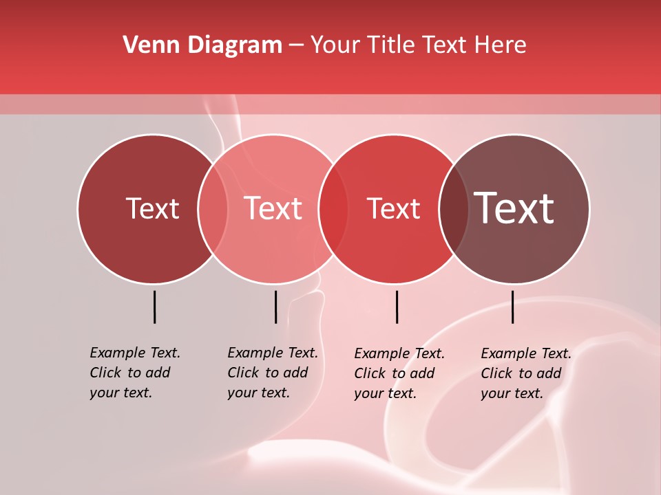 Baby Trimester Embryogenesis PowerPoint Template