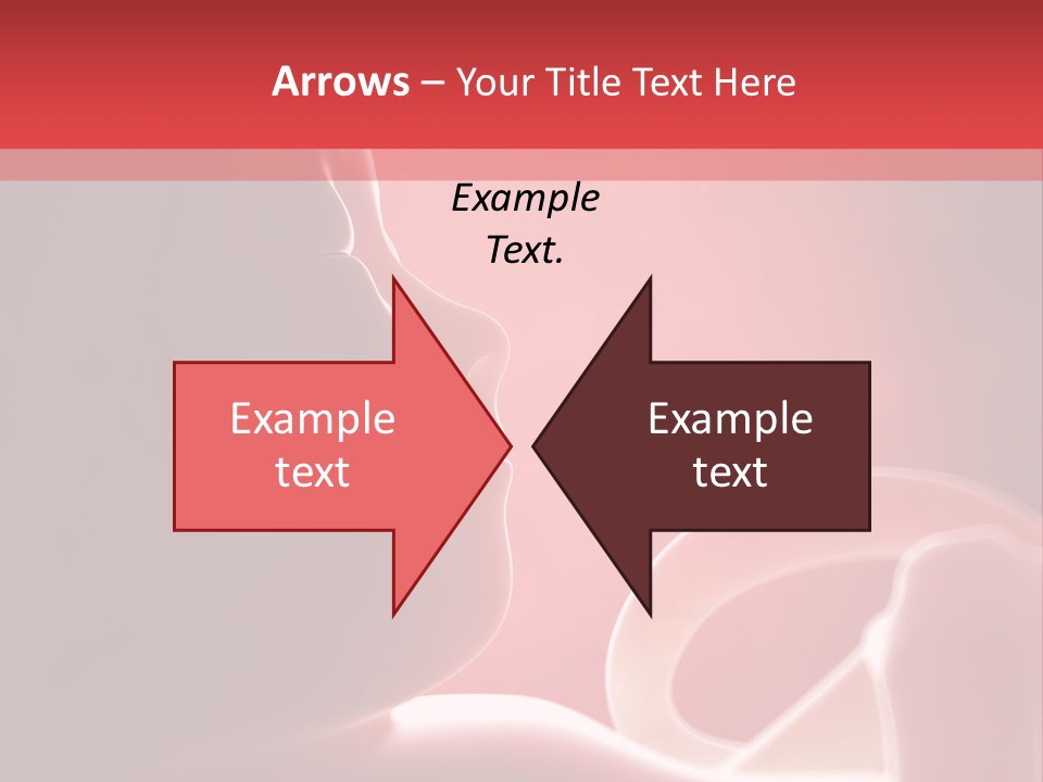 Baby Trimester Embryogenesis PowerPoint Template