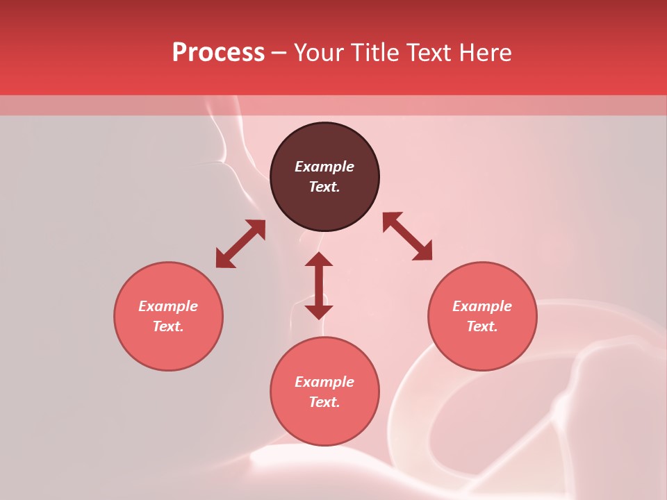 Baby Trimester Embryogenesis PowerPoint Template