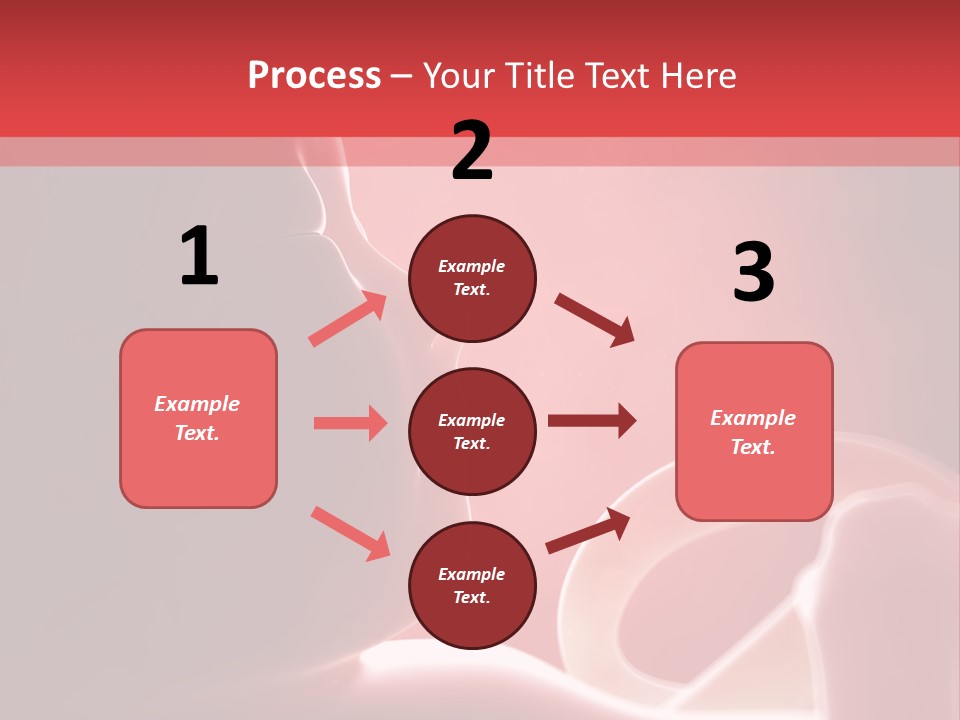 Baby Trimester Embryogenesis PowerPoint Template