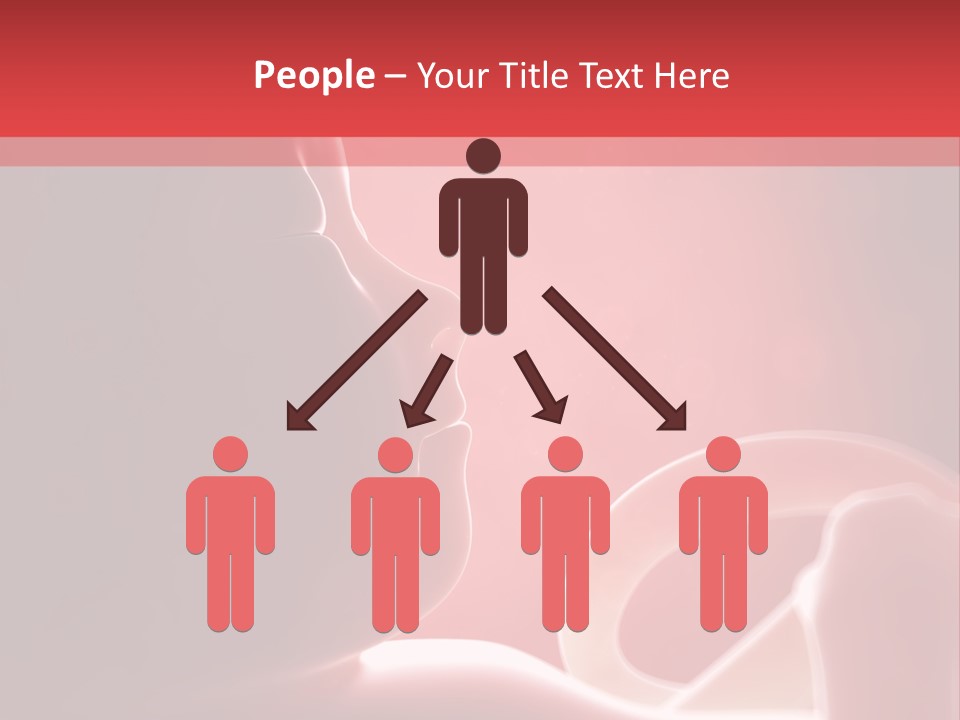 Baby Trimester Embryogenesis PowerPoint Template