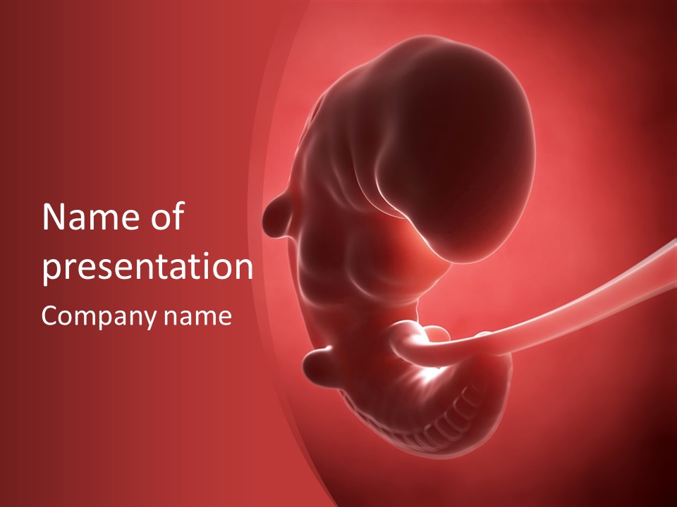 Science Embryogenesis Unborn PowerPoint Template