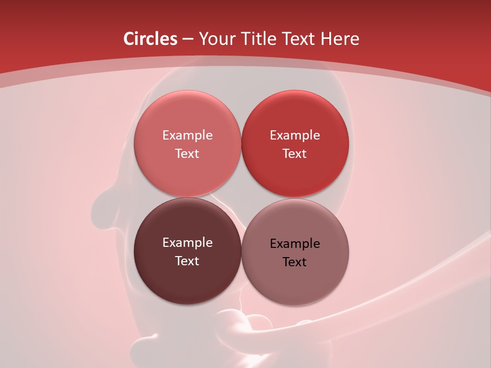 Science Embryogenesis Unborn PowerPoint Template