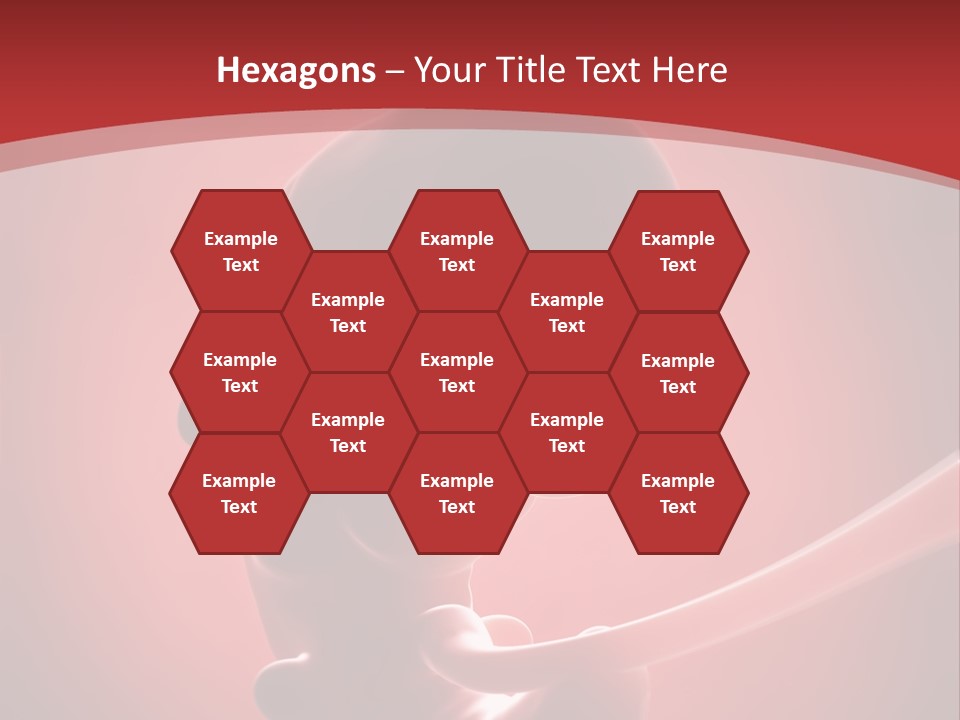 Science Embryogenesis Unborn PowerPoint Template