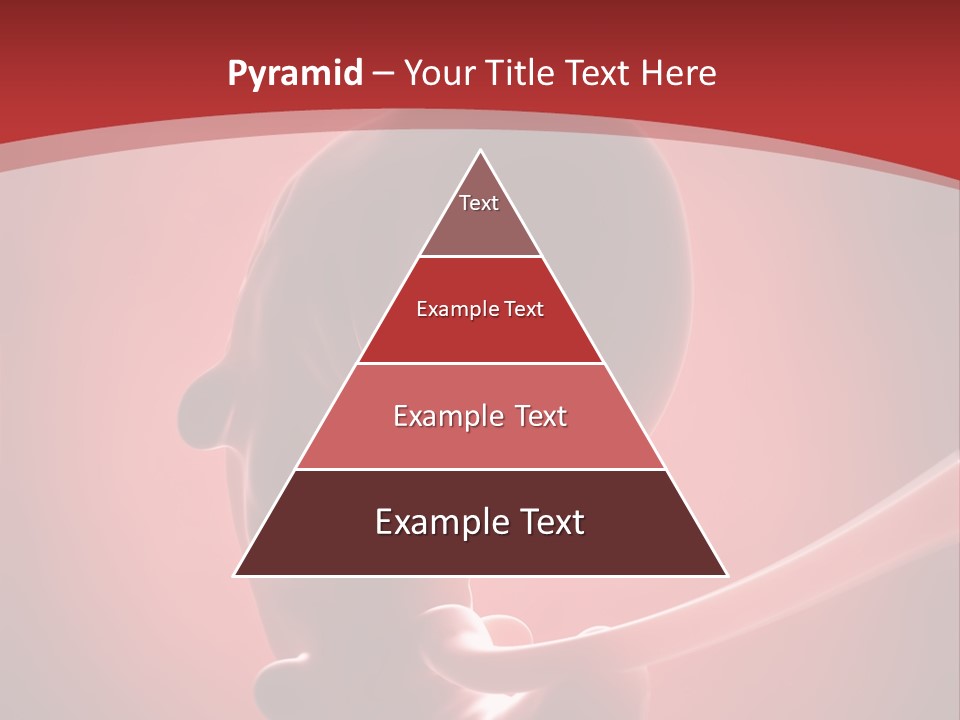 Science Embryogenesis Unborn PowerPoint Template