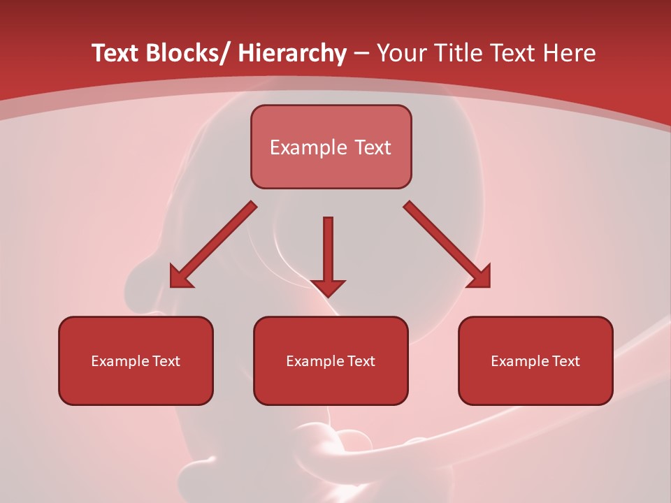 Science Embryogenesis Unborn PowerPoint Template
