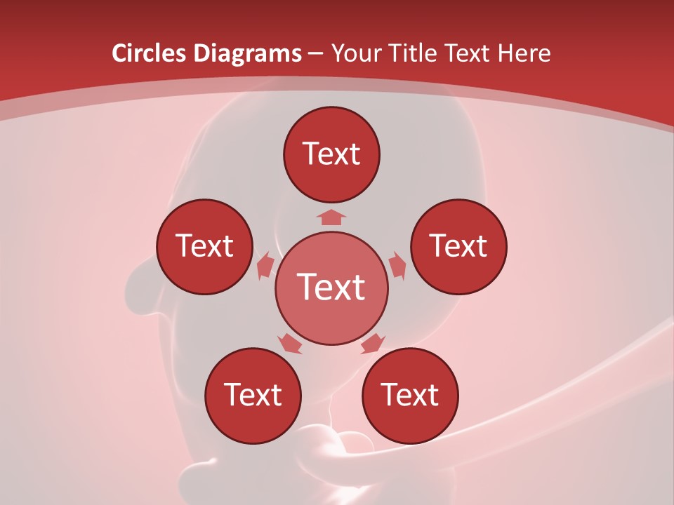 Science Embryogenesis Unborn PowerPoint Template