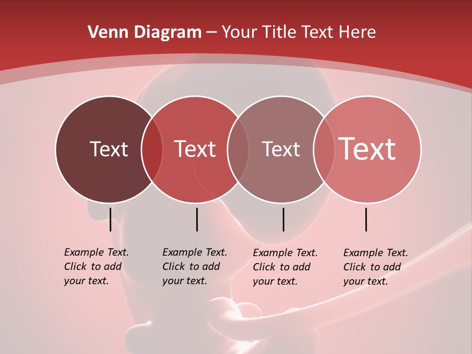 Science Embryogenesis Unborn PowerPoint Template